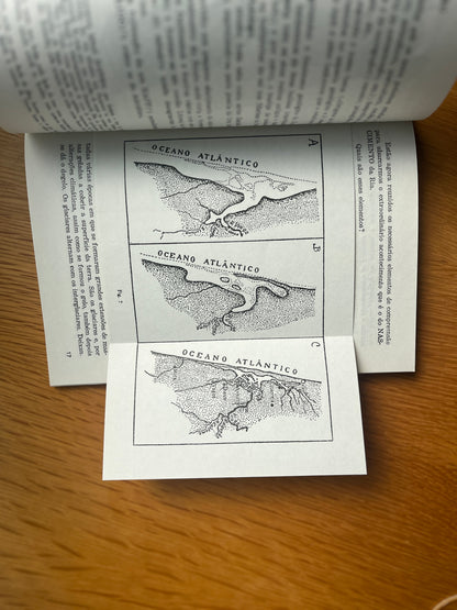 ORIGENS DA RIA DE AVEIRO