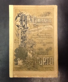 DAS PLANTAS, SEMENTES