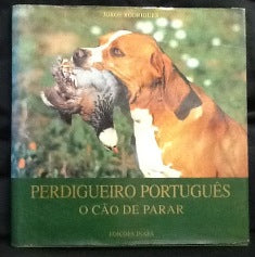 PERDIGUEIRO PORTUGUÊS