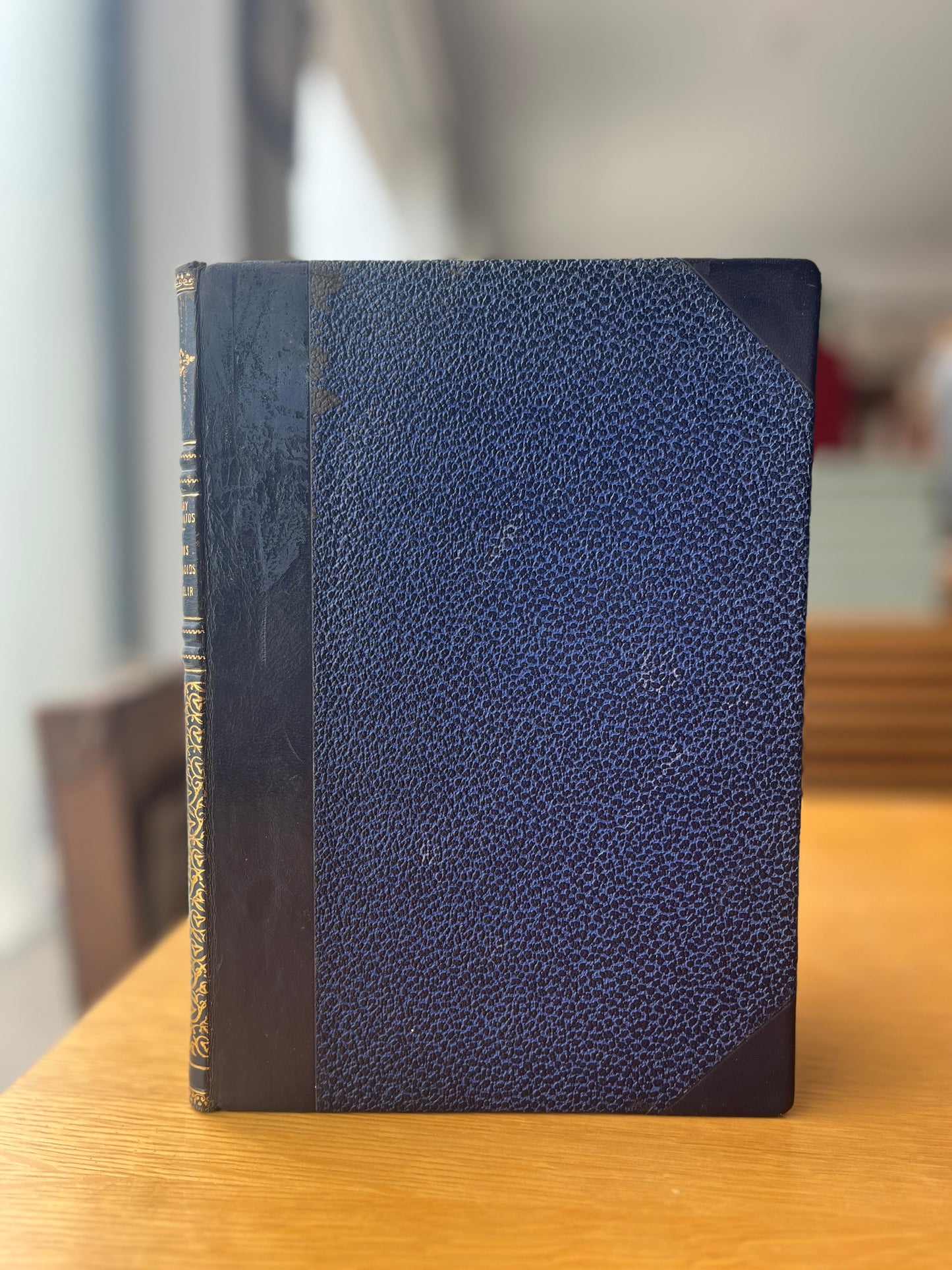 OS DOIS MORGADIOS DE SELIR