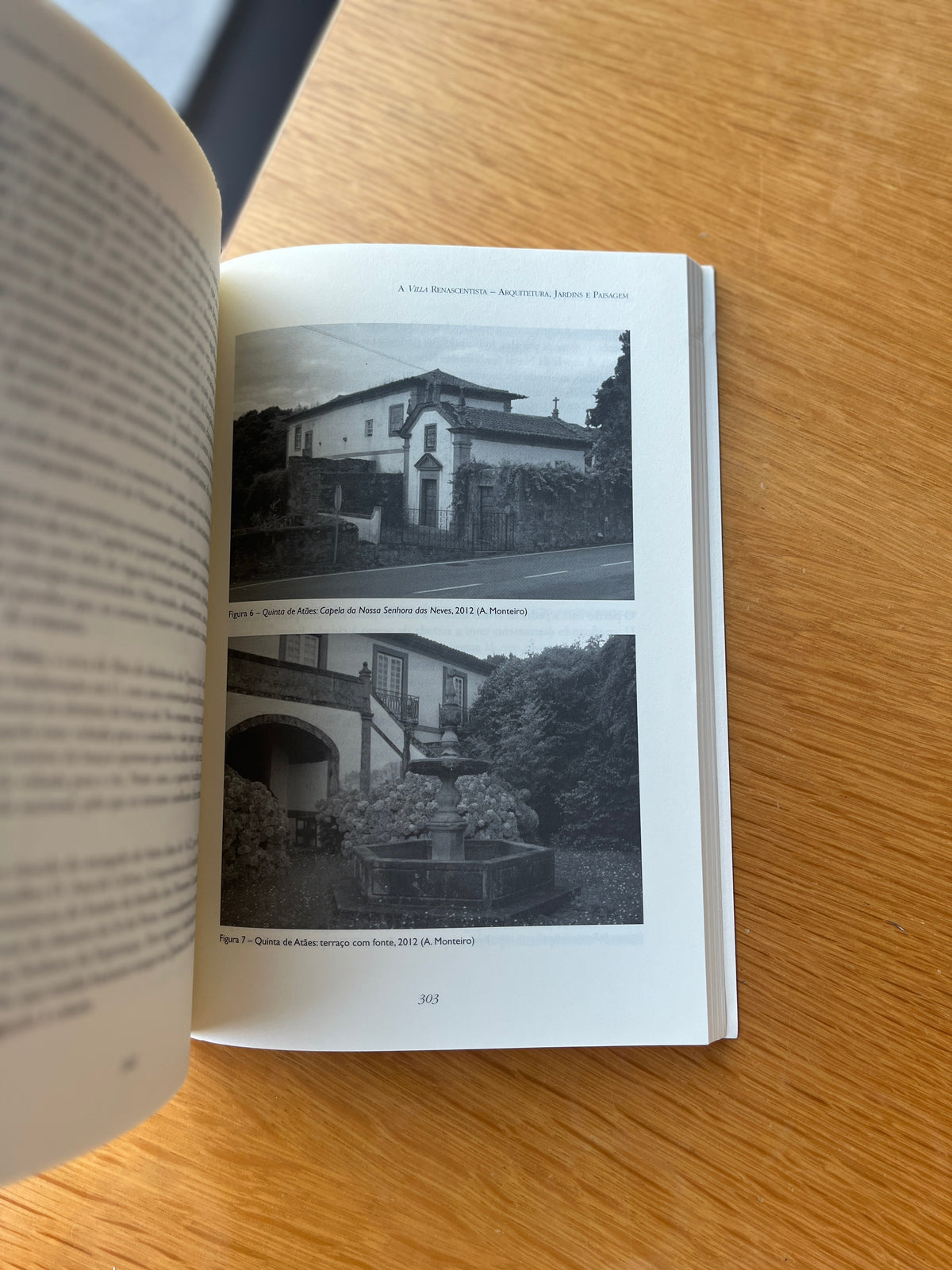 A VILLA RENASCENTISTA - ARQUITETURA, JARDINS E PAISAGEM