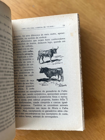 SABE VER UMA CORRIDA DE TOUROS ?