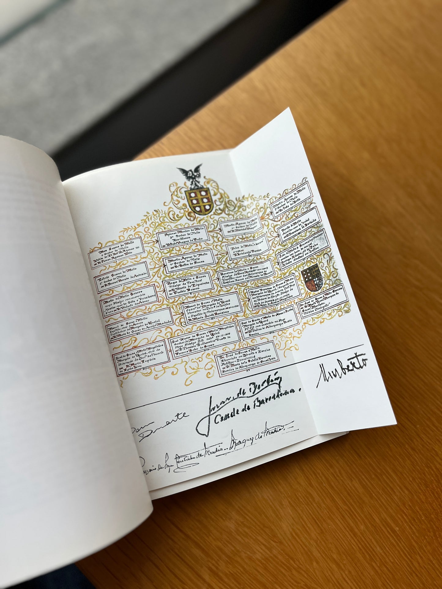 A LINHA DE VARONIA DOS MELLOS DE S. PEDRO DO SUL