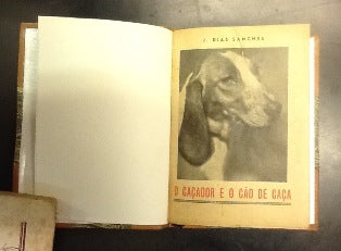 O CAÇADOR E O CÃO DE CAÇA