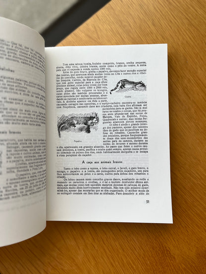 MEMÓRIAS SOBRE O CONCELHO DO SABUGAL