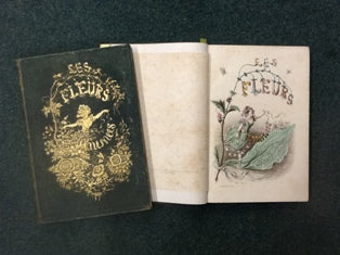 LES FLEURS ANIMÉES