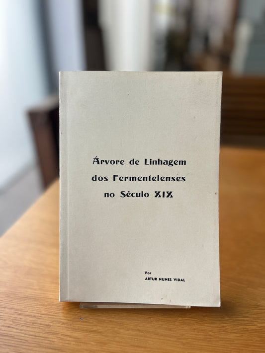 ÁRVORE DE LINHAGEM DOS FERMENTELENSES NO SÉC. XIX