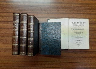 O RAPAZINHO PIQUILO ALLIAGA,