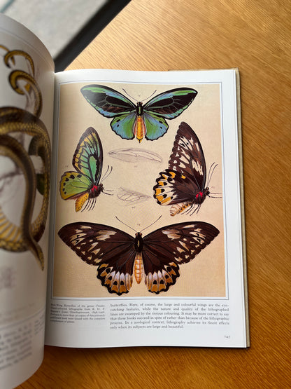 THE ART OF NATURAL HISTORY