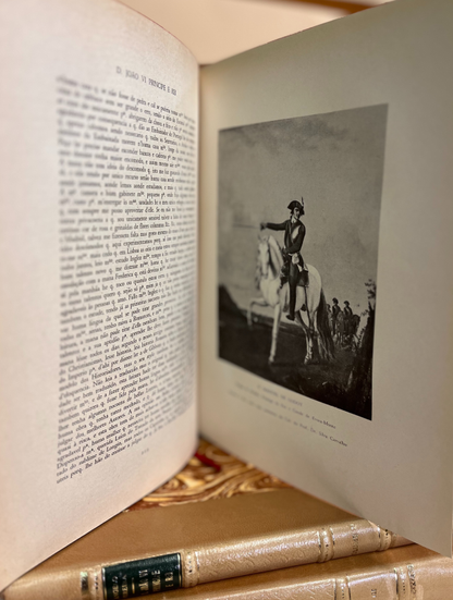 D. JOÃO VI PRINCIPE E REI