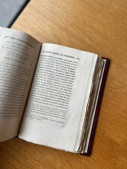 PRINCIPIOS DE DIREITO POLITICO