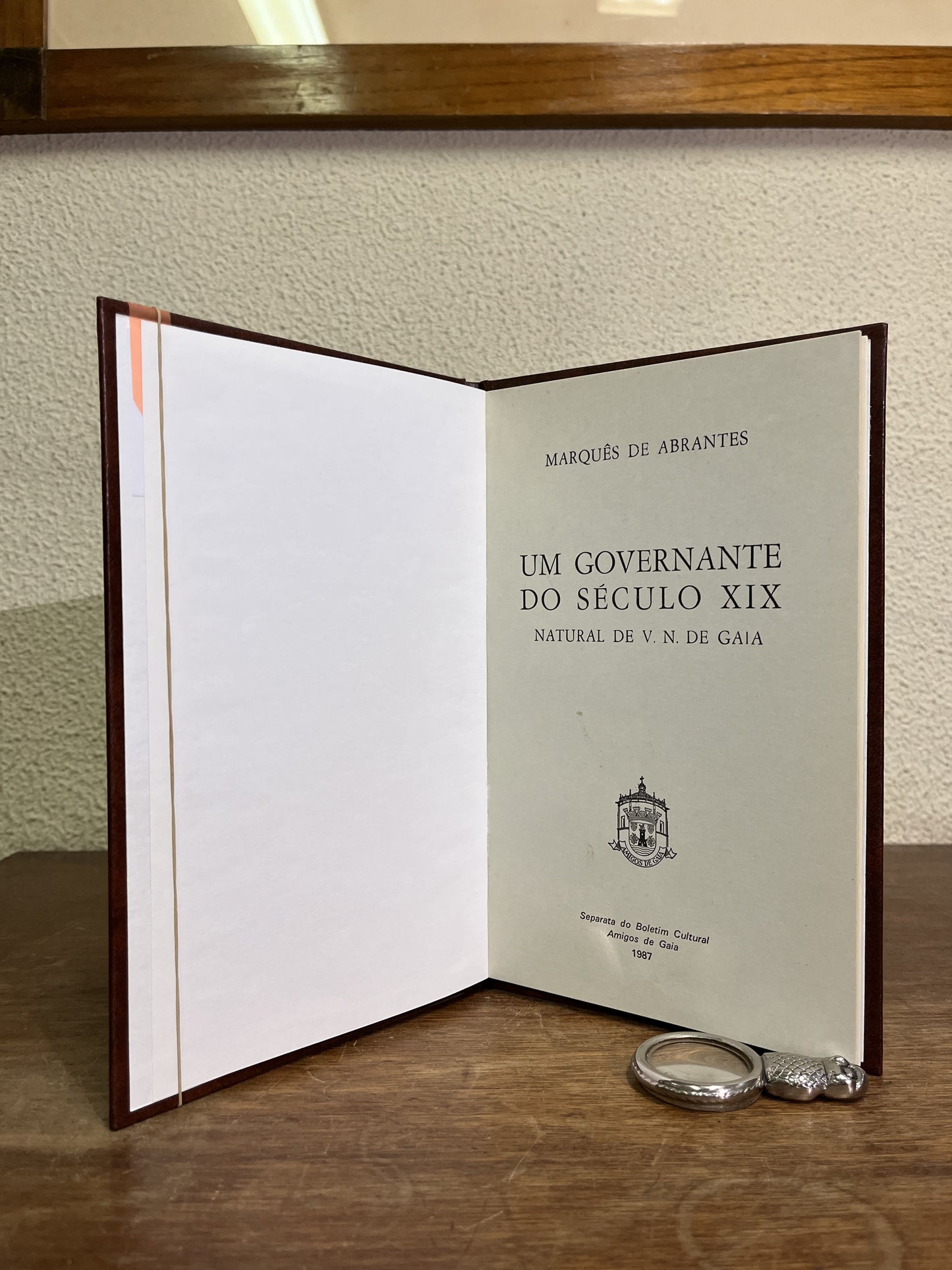 UM GOVERNANTE DO SÉCULO XIX