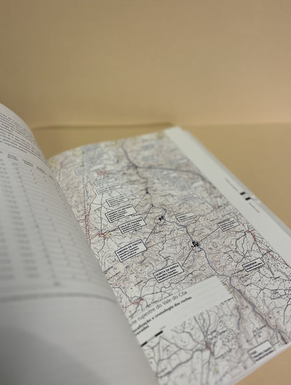 ARTE RUPESTRE E PRÉ- HISTÓRIA DO VALE DO CÔA