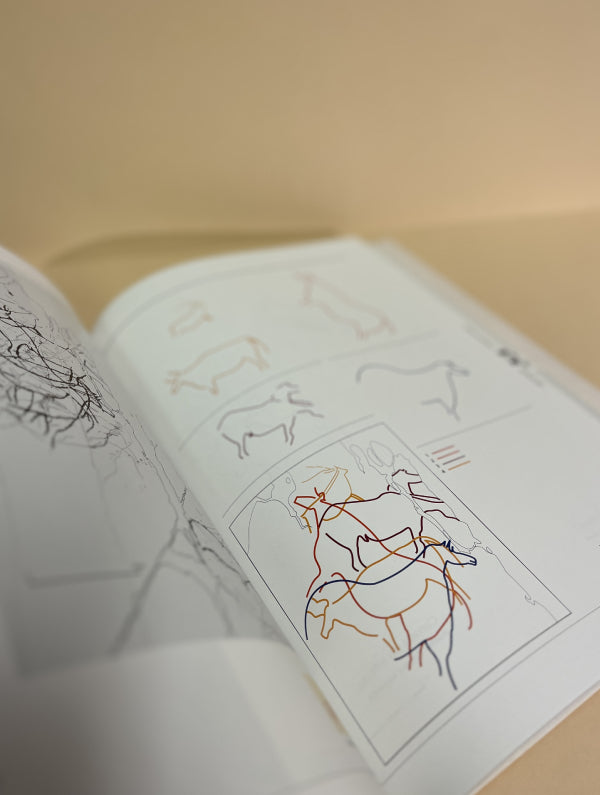 ARTE RUPESTRE E PRÉ- HISTÓRIA DO VALE DO CÔA