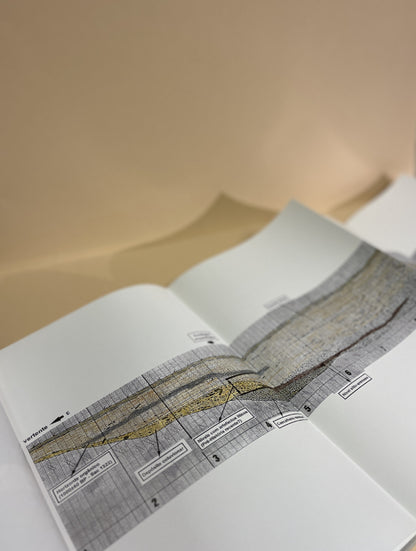 ARTE RUPESTRE E PRÉ- HISTÓRIA DO VALE DO CÔA