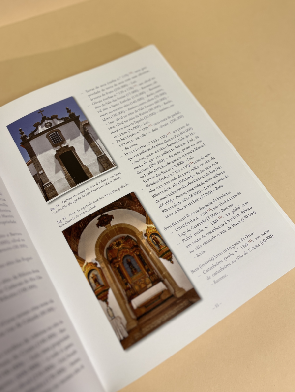 ASCENDÊNCIA E DESCENDÊNCIA DOS 1.ºs BARÕES DE SANTA COMBA DÃO