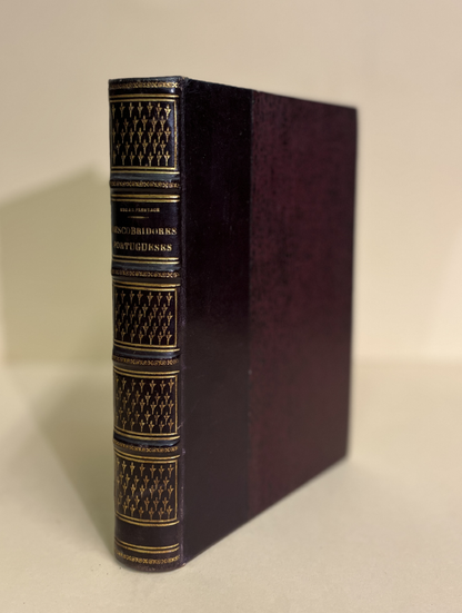 DESCOBRIDORES PORTUGUESES