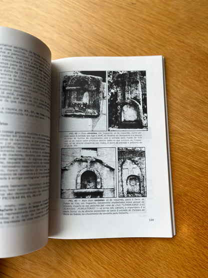 PESSEGUEIRO DO VOUGA