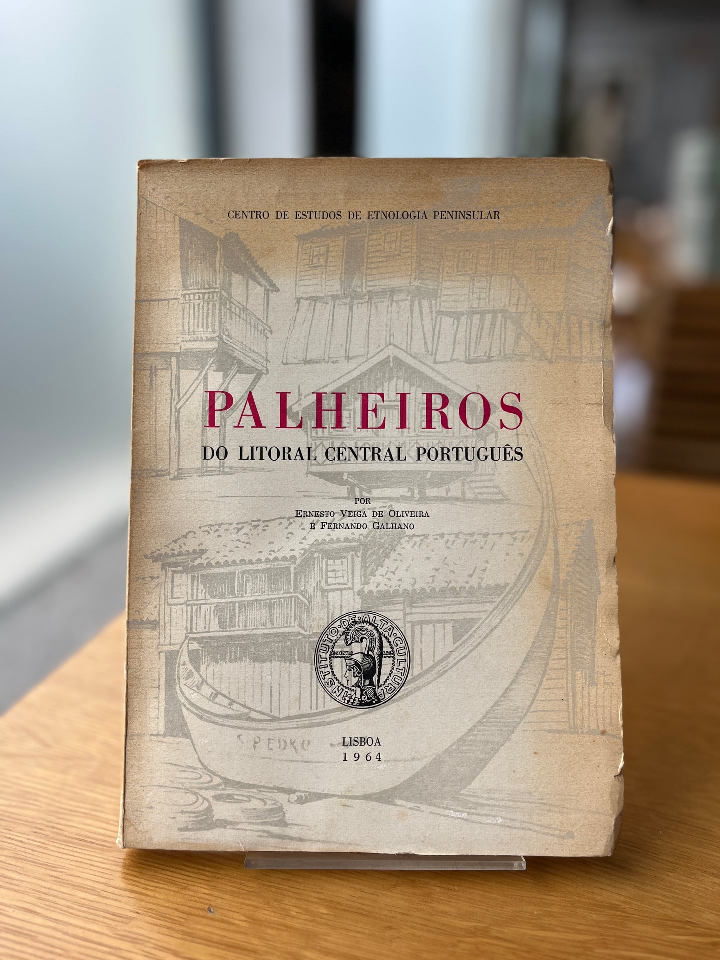 PALHEIROS DO LITORAL CENTRAL PORTUGUÊS