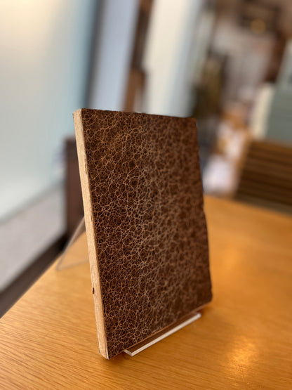 CANCIONEIRO DE VIANA DO CASTELO