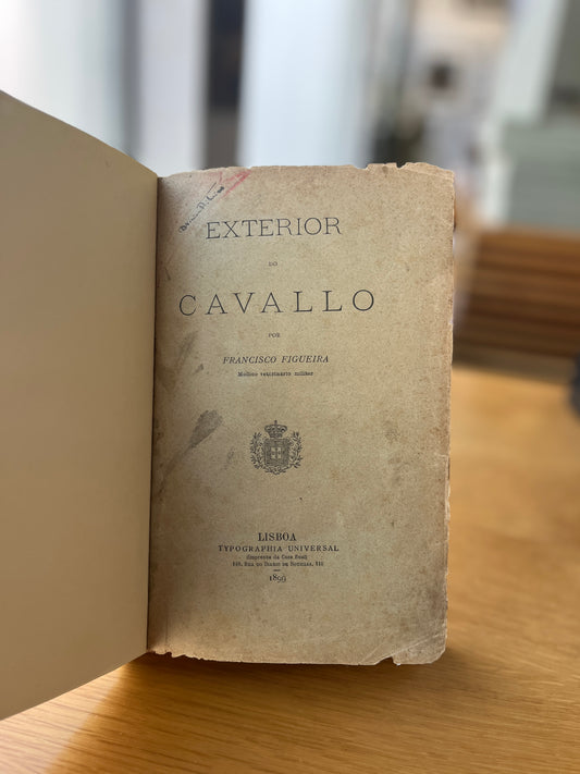 EXTERIOR DO CAVALLO