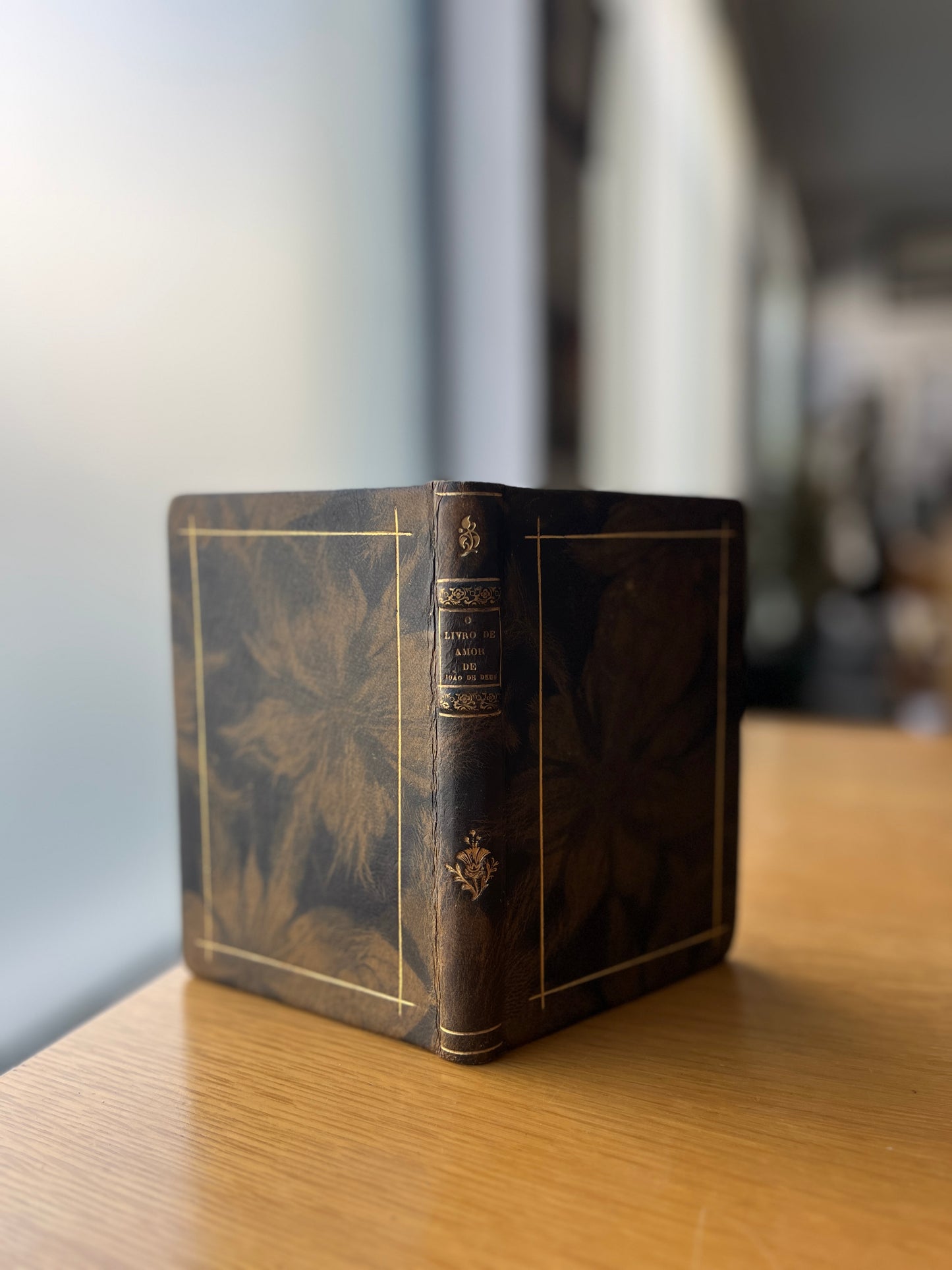O LIVRO DE AMOR DE JOÃO DE DEUS