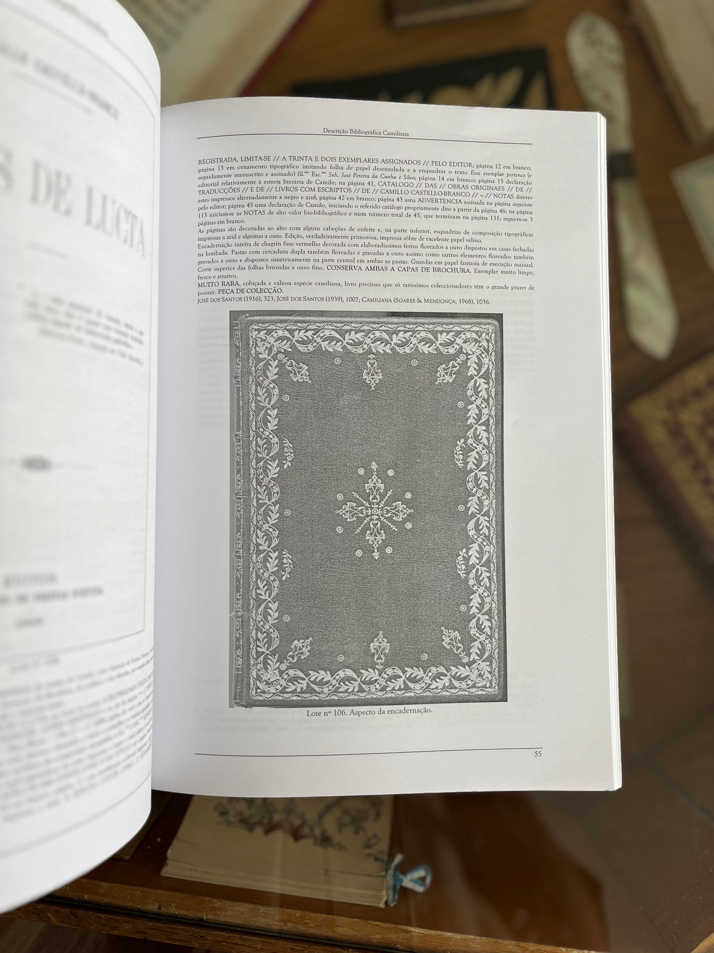 DESCRIÇÃO BIBLIOGRÁFICA CAMILIANA