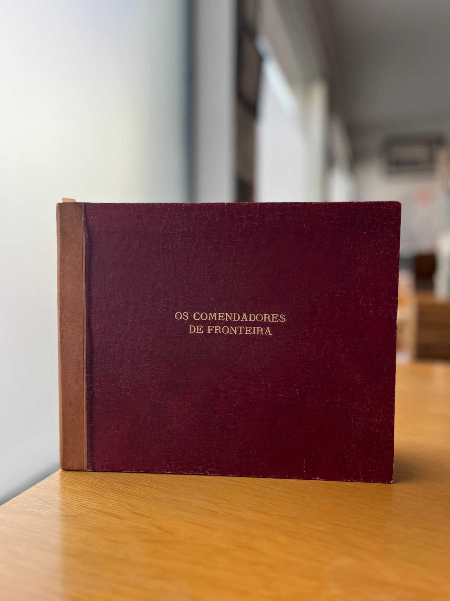 OS COMENDADORES DE FRONTEIRA, PORTUGAES DA GAMA DE VASCONCELOS