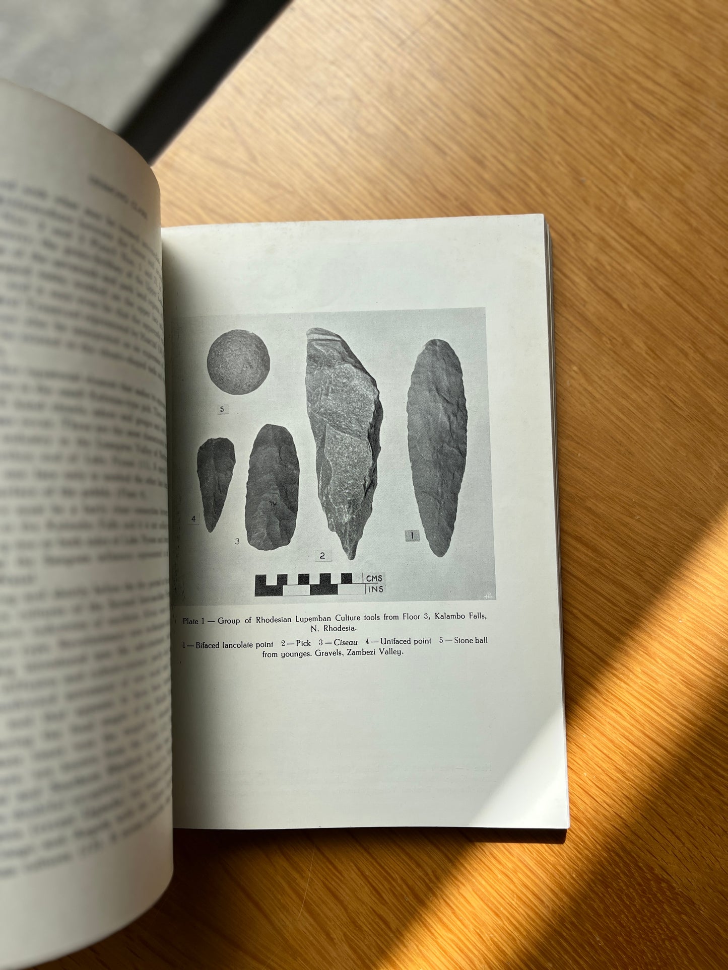 TRABALHOS DE ANTROPOLOGIA E ETNOLOGIA, VOL. XVII - FASC. 1-4