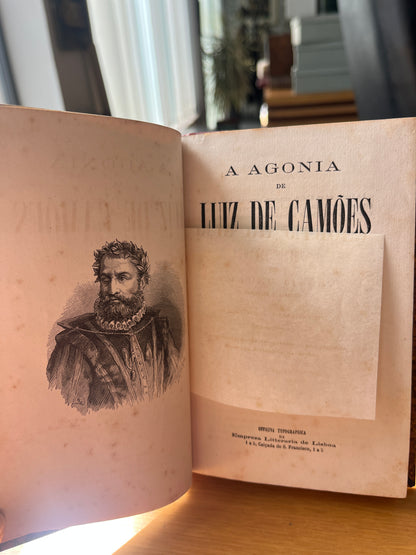 A AGONIA DE LUIZ DE CAMÕES