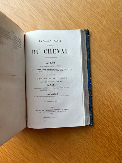 LA CONNAISSANCE GÉNÉRALE DU CHEVAL