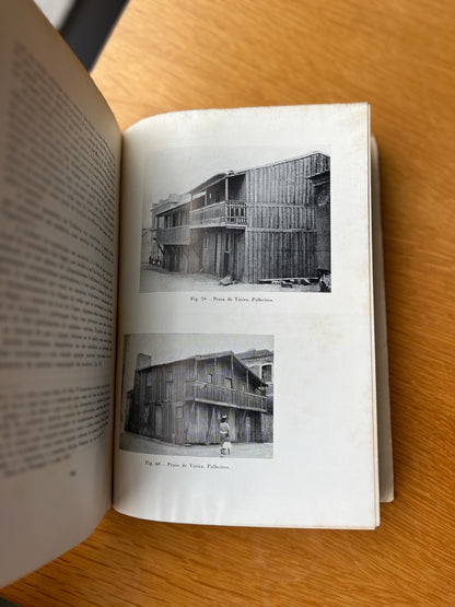 PALHEIROS DO LITORAL CENTRAL PORTUGUÊS