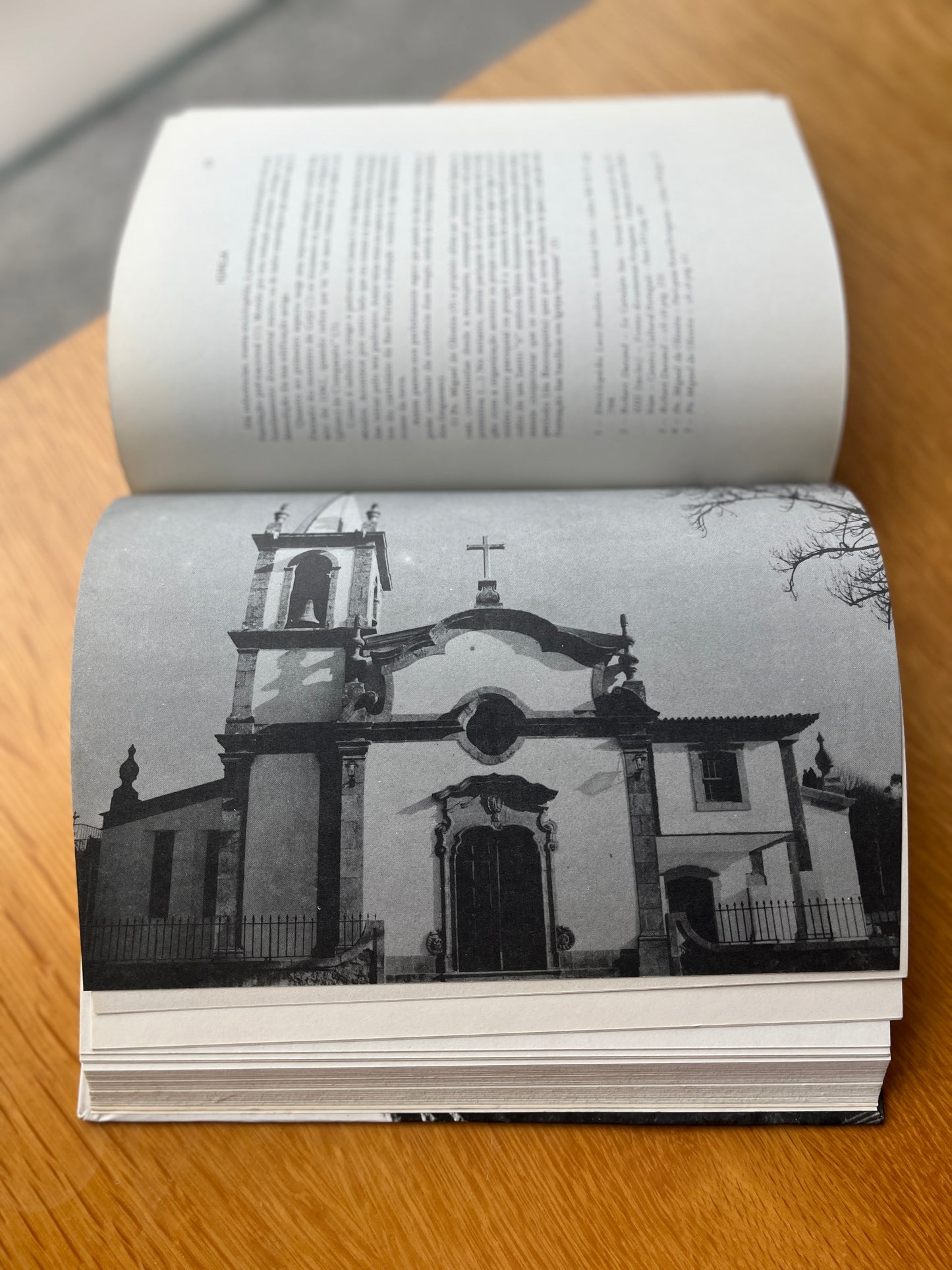 S. JOÃO BAPTISTA DE CANELAS: NOTAS MONOGRÁFICAS
