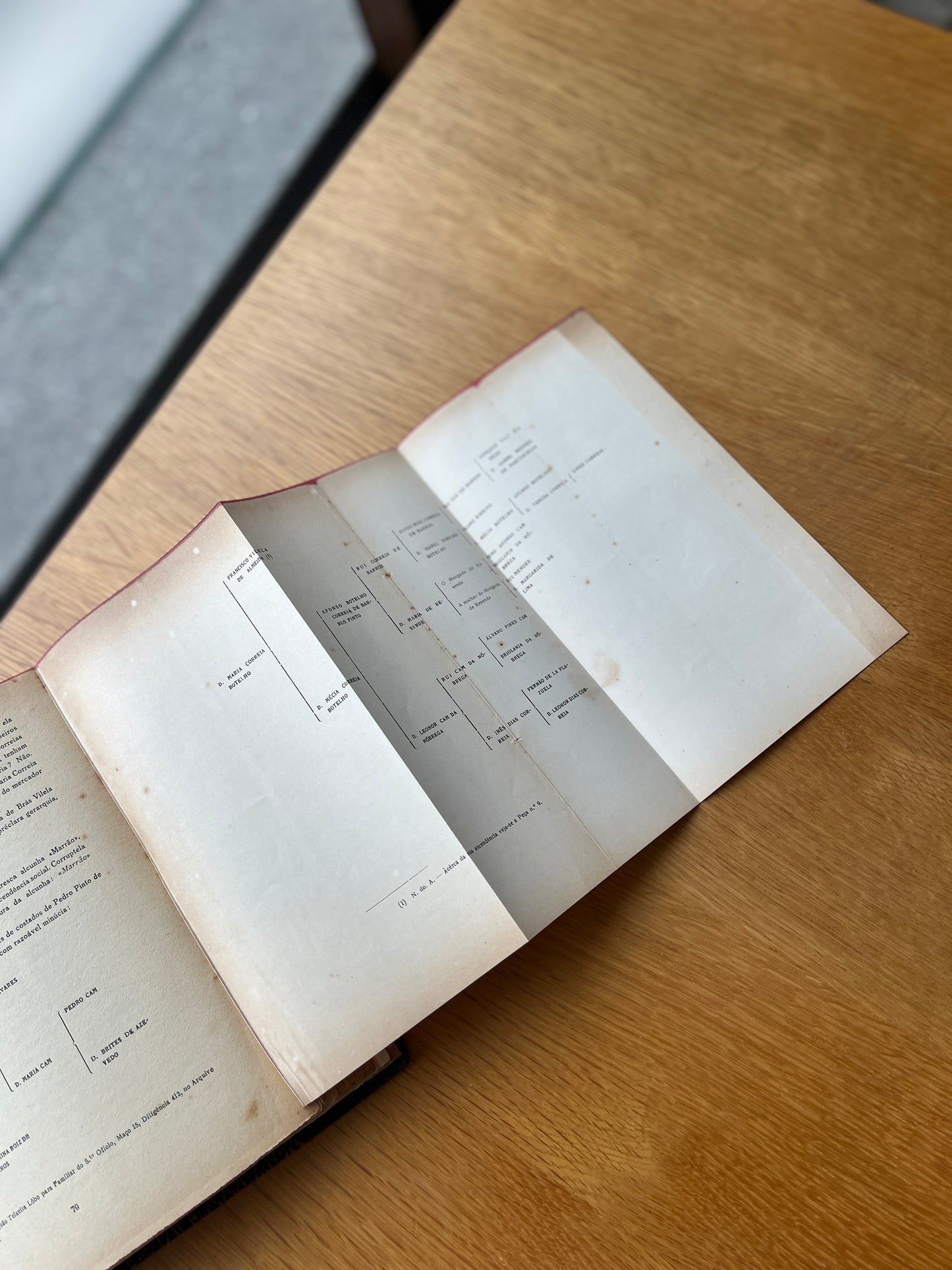 PROCESSO GENEALÓGICO DE CAMILLO CASTELLO BRANCO