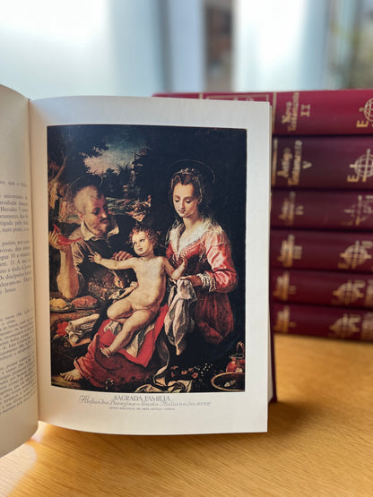 BIBLIA ILUSTRADA, 7 VOL.