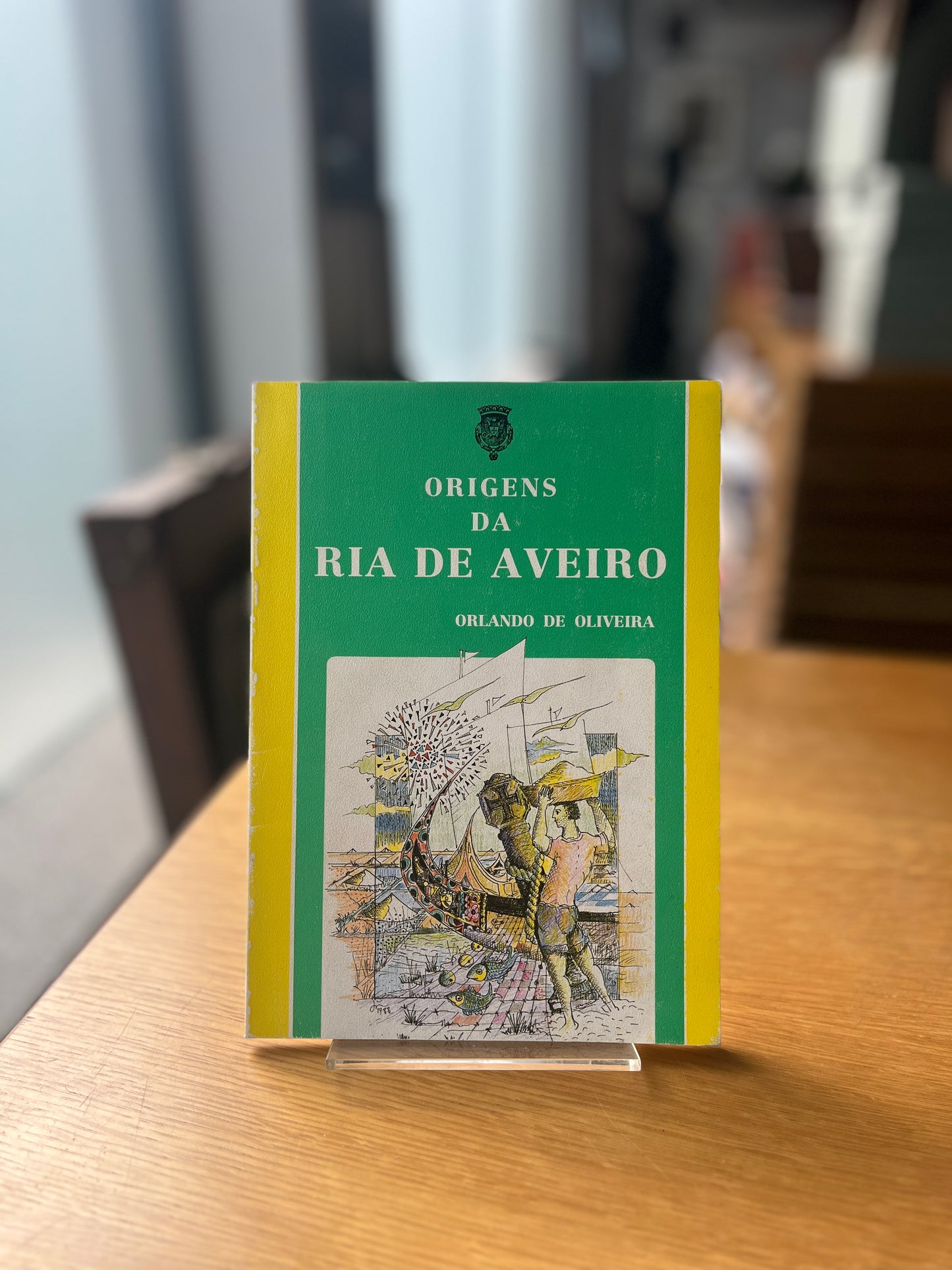 ORIGENS DA RIA DE AVEIRO