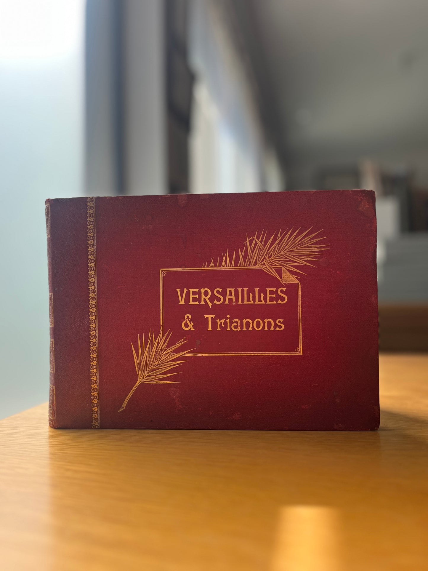 VERSAILLES & TRIANONS