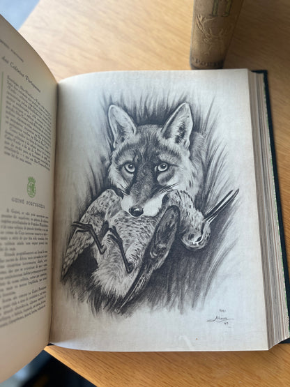 A CAÇA NO IMPÉRIO PORTUGUÊS, 2 VOL.