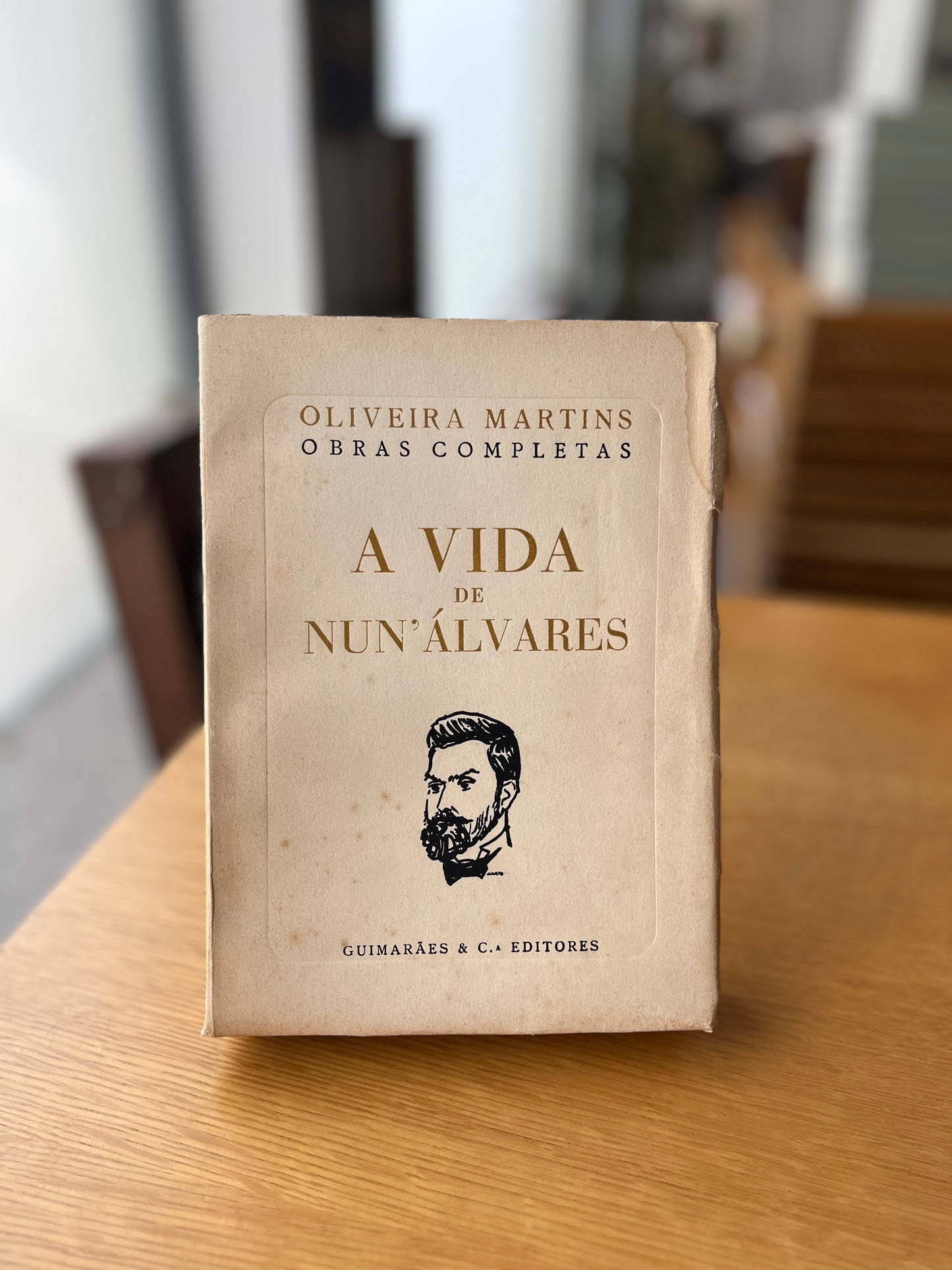 A VIDA DE NUN'ÁLVARES