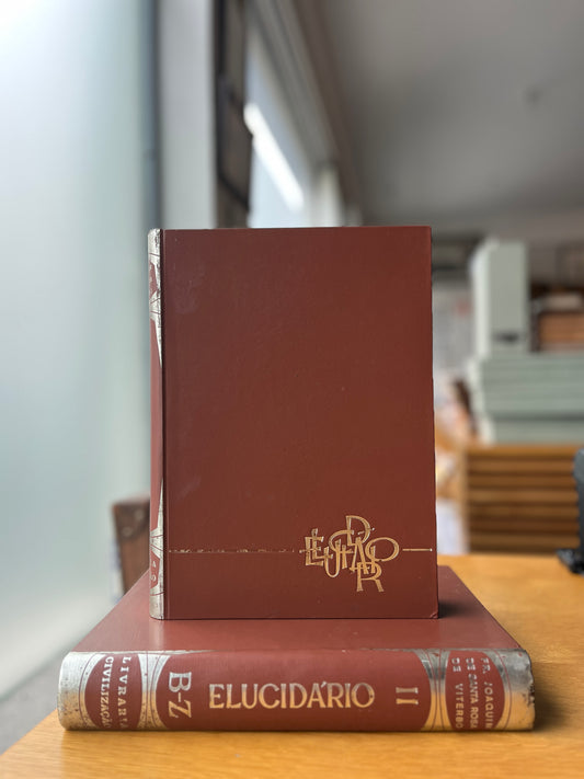 ELUCIDÁRIO DAS PALAVRAS, TERMOS E FRASES
