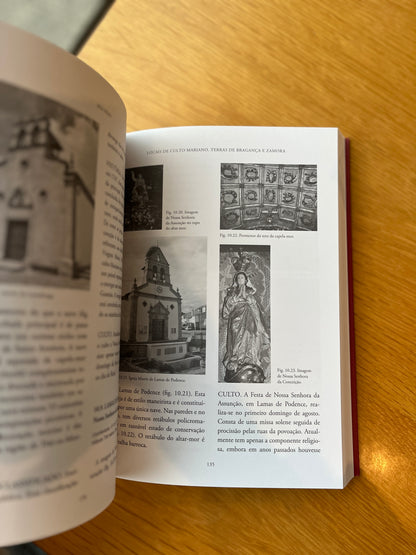 LOCAIS DE CULTO MARIANO