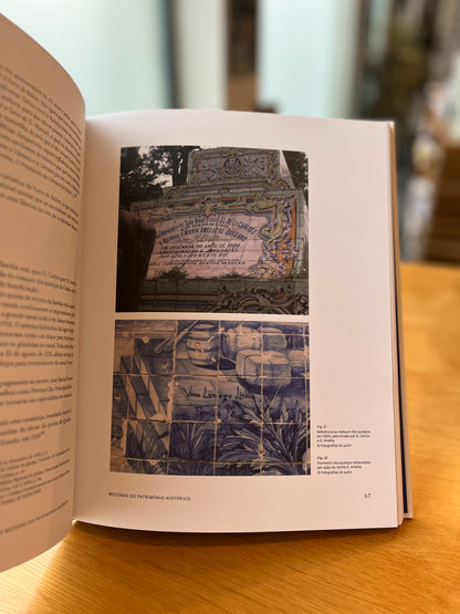 RAINHA D. AMÉLIA PINTORA E E MECENAS DO PATRIMÓNIO HISTÓRICO