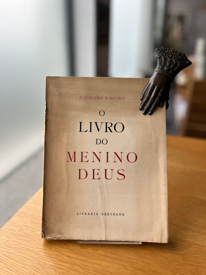 O LIVRO DO MENINO DEUS
