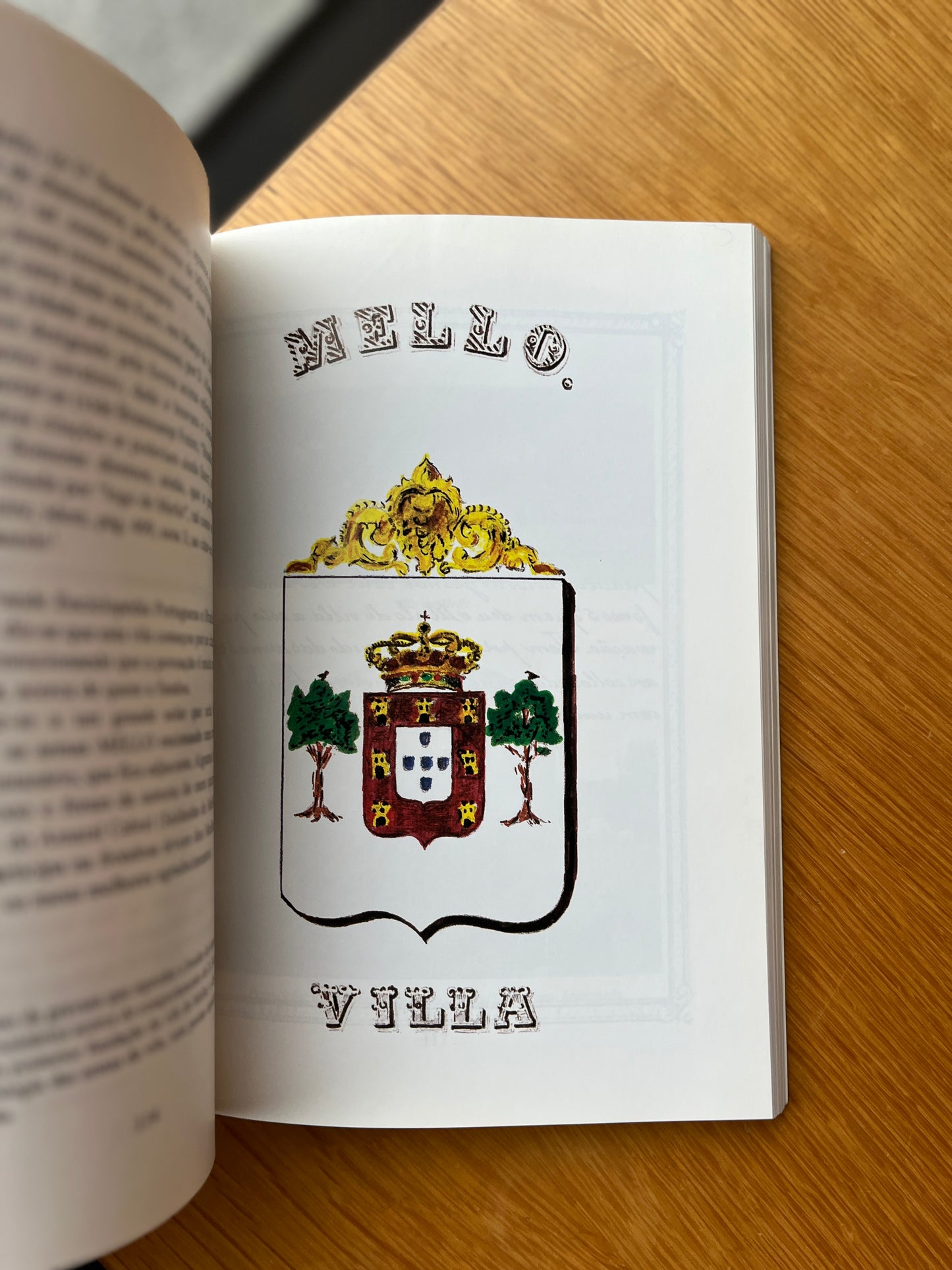 A LINHA DE VARONIA DOS MELLOS DE S. PEDRO DO SUL