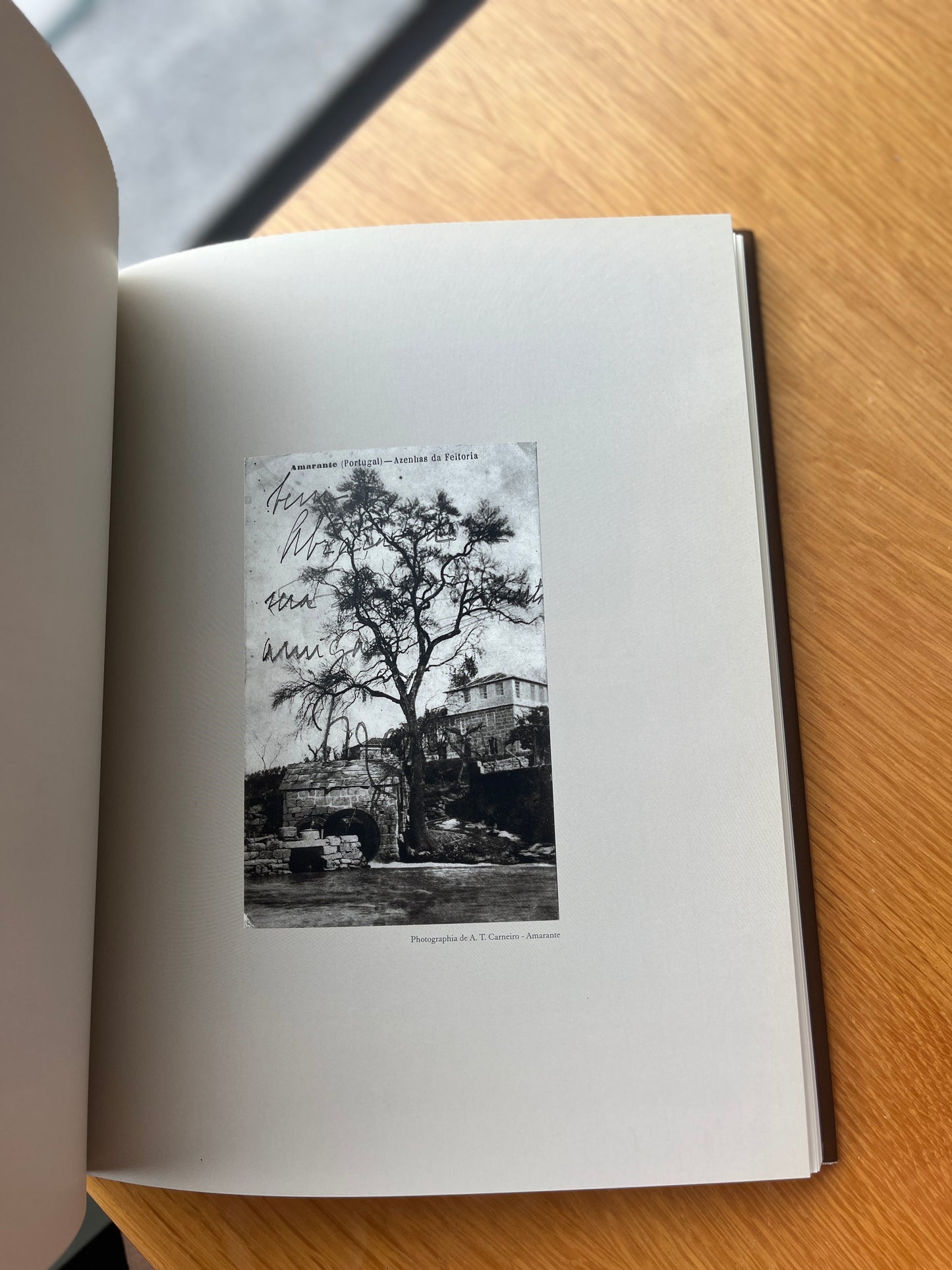 O POSTAL ILUSTRADO EM AMARANTE
