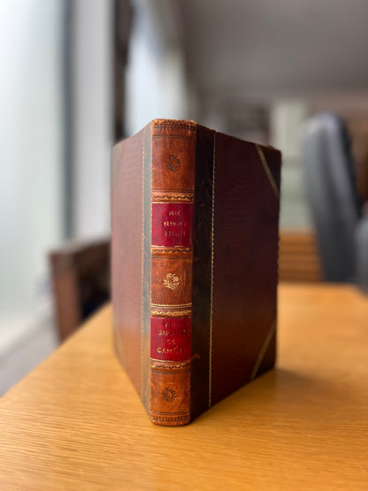 VIDA IGNORADA DE CAMÕES