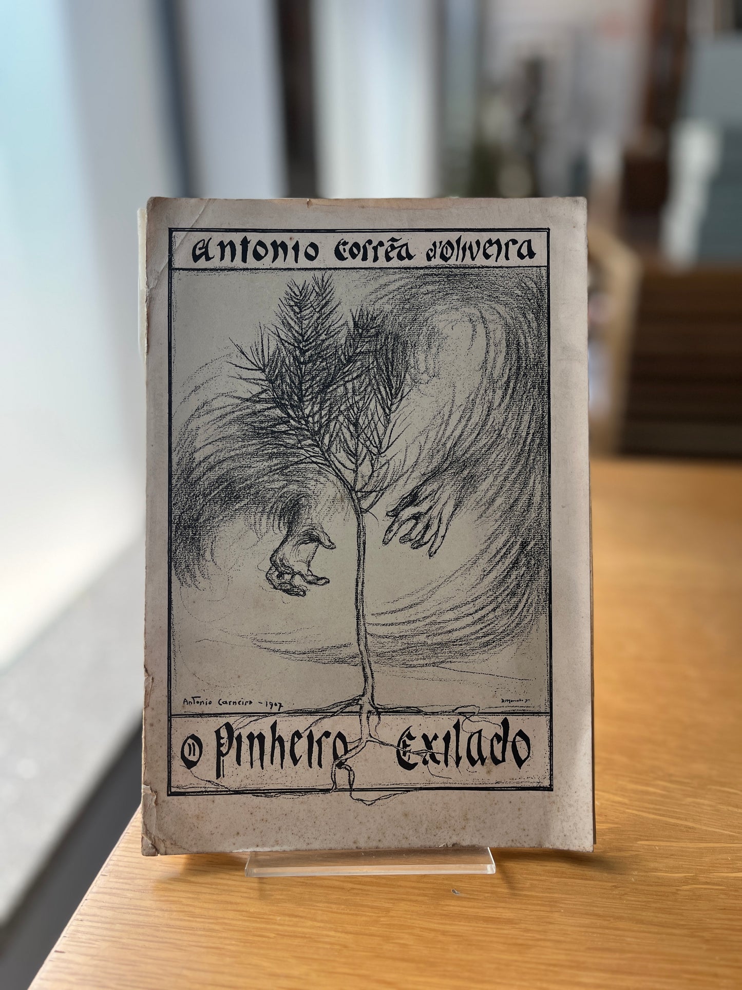 O PINHEIRO EXILADO