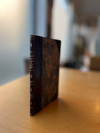 FOLHAS CAHIDAS APANHADAS NA LAMA