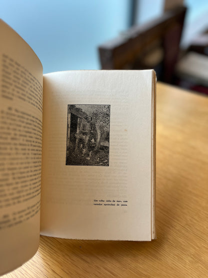 O ENGENHEIRO CUSTÓDIO JOSÉ GOMES DE VILLAS BOAS