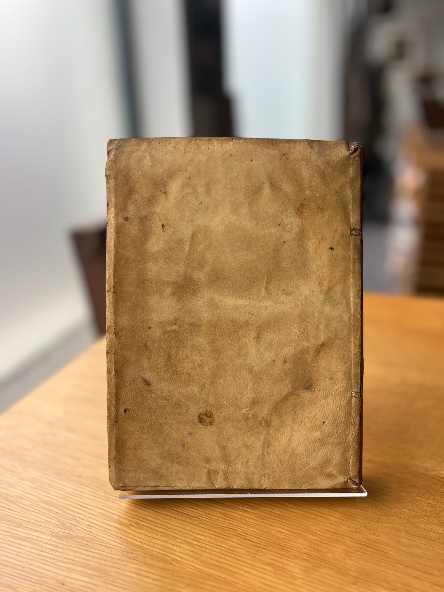 THESOURO DE PRUDENTES